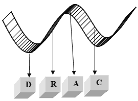 ciclo economico