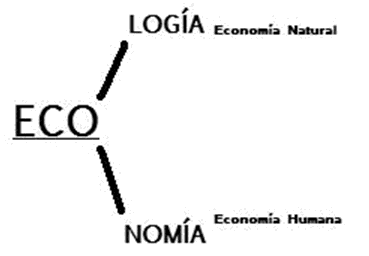 economía y ecología