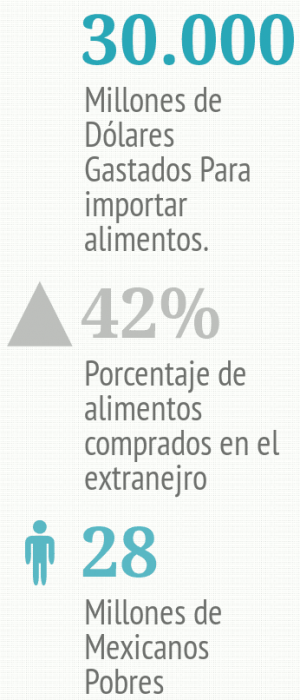 alimentos importados