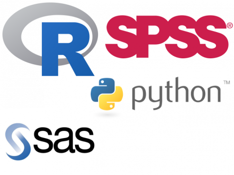 R Python SPSS SAS